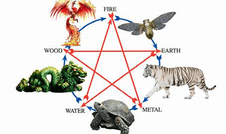 Circle Dance with the Golden Cicada