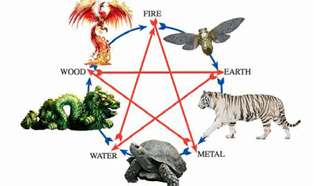 Two Step with the Tortoise