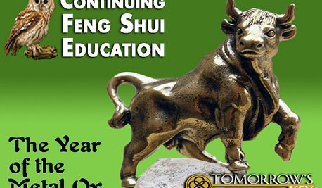 Year of the Metal Ox