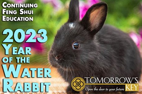 2023 Year of the Water Rabbit