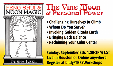 The Vine Moon of Personal Power